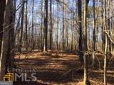 LOT#5, 11+ AC. Mcbride Road - Photo 9