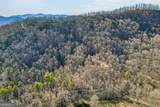 317 Collins Creek Road - Photo 10