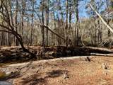 0 Live Oak Lane Road - Photo 5