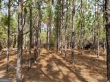 0 Outlaw Grove Way - Photo 29