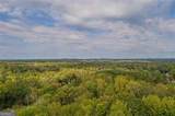 6375 Caladium Drive - Photo 38