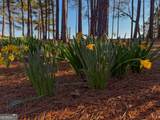 721 Thrasher Road - Photo 24