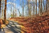LOT 6 & 7 Skyview Drive - Photo 19