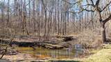 1783 Four Mile Church Road - Photo 10
