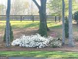 210 Etowah Landing - Photo 69