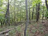 3005 Wild Turkey Knoll - Photo 6