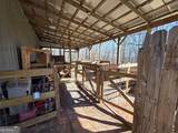 3879 Caney Head Road - Photo 12