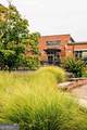 518 Winding Rose Drive - Photo 100