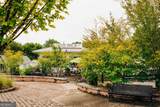 518 Winding Rose Drive - Photo 64