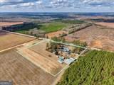10780 Highway 112 - Photo 80