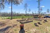 1757 Mcintosh Trail - Photo 30