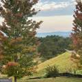 147 Millers Lane - Photo 48