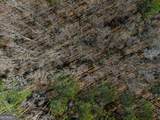 0 Hyannis Drive - Photo 7
