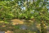 LOT 10 Cartecay River Run - Photo 11