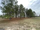 141 James English Road - Photo 6
