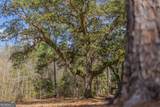 TRACT 1 - 12321 Highway 185 - Photo 50