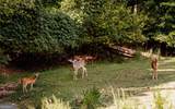 107 23rd Street - Photo 43