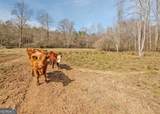 1363 Mcfarlin Bridge Road - Photo 55