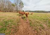 1363 Mcfarlin Bridge Road - Photo 59