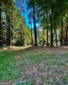 504 Raven Springs Trail - Photo 4