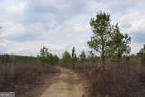 130.518 AC Ronnie Road - Photo 7
