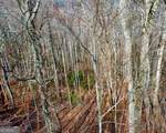 120 Croft Mountain Road - Photo 3