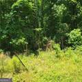 0 Spring Hill Drive - Photo 2
