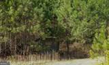 0 Highway 100 - Photo 16