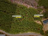 1004 Hesters Ferry Road - Photo 1