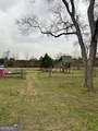 177 Dewey Warnock Road - Photo 39