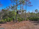 279 Mid River Road - Photo 45