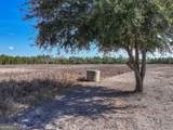 279 Mid River Road - Photo 57