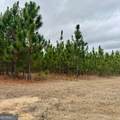 2150 Buena Vista Highway - Photo 9