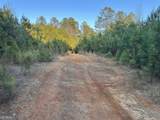 0 - TRACT 2 Mt Zion Church Road - Photo 22