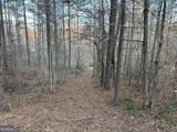 0 - TRACT 2 Mt Zion Church Road - Photo 28