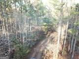 0 - TRACT 3 Mt Zion Church Road - Photo 16
