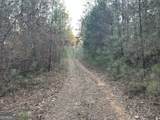 0 - TRACT 3 Mt Zion Church Road - Photo 27