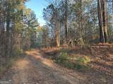 0 - TRACT 4 Mt Zion Church Road - Photo 18