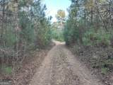 0 - TRACT 4 Mt Zion Church Road - Photo 21