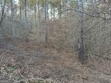 0 - TRACT 4 Mt Zion Church Road - Photo 23