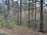 0 - TRACT 4 Mt Zion Church Road - Photo 26