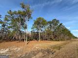 5686 Golden Isle - Photo 5
