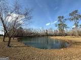 5686 Golden Isle - Photo 9