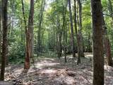 0 Rivers End Trail - Photo 11