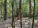 0 Rivers End Trail - Photo 12