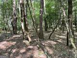 0 Rivers End Trail - Photo 13
