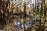 0 Twin Forks Rd/Martin Road - Photo 1