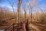 346 Rusty Lady Lane - Photo 44