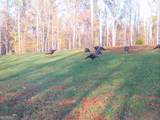 0 Logtown Road - Photo 20