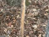 0 Logtown Road - Photo 42